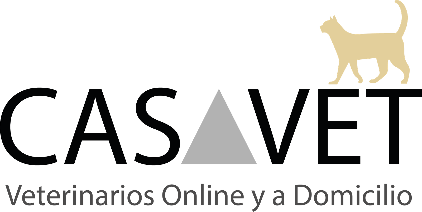 Logo Casavet veterinarios online y a domicilio